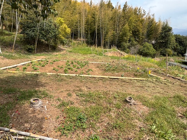 熊本市東区戸島本町,売地